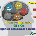 Inteligência emocional e intelectual e a relação com nosso potencial